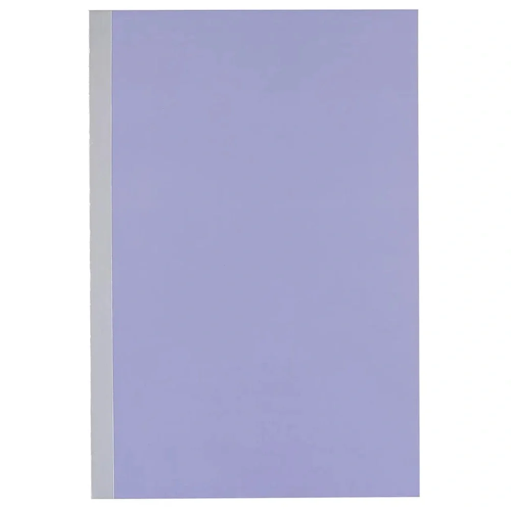 Erin Condren Metallic Spine Notebook Duo
